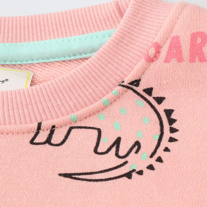 Children's Dinosaur Sweatshirt