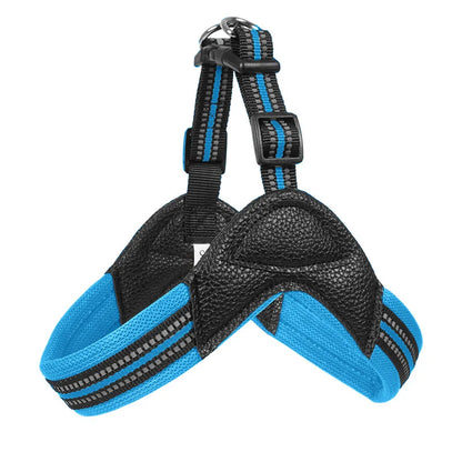 Pet Dog Harness and Leash