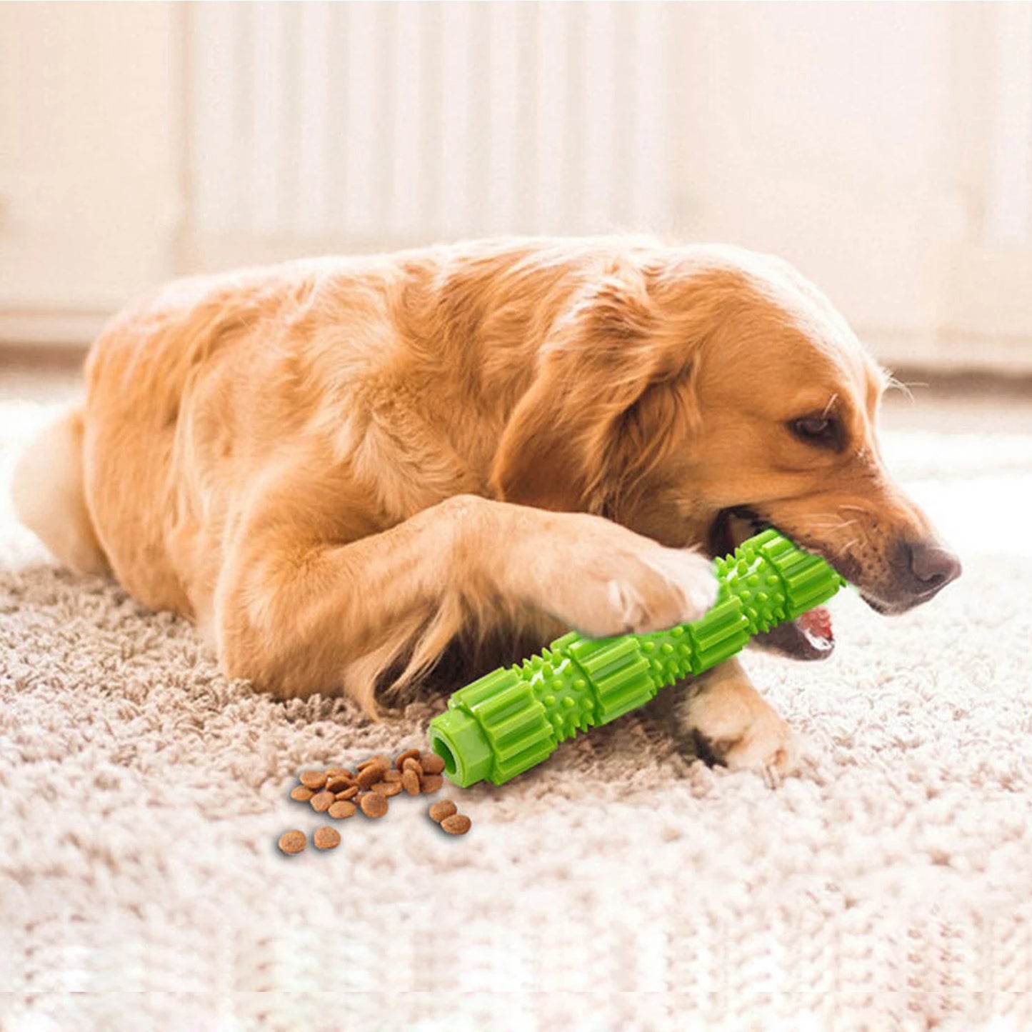 Pet Dog Chew Toy