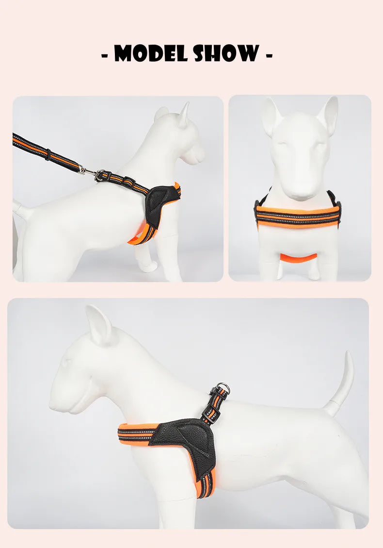 Pet Dog Harness and Leash