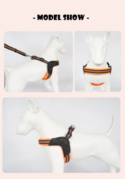 Pet Dog Harness and Leash