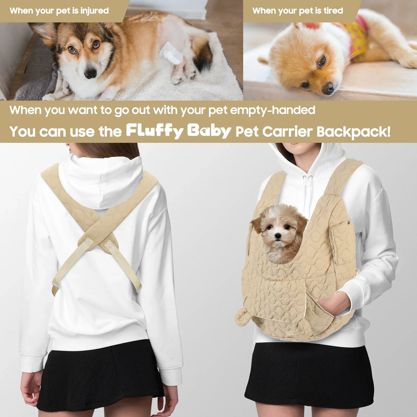 Pet Carrier
