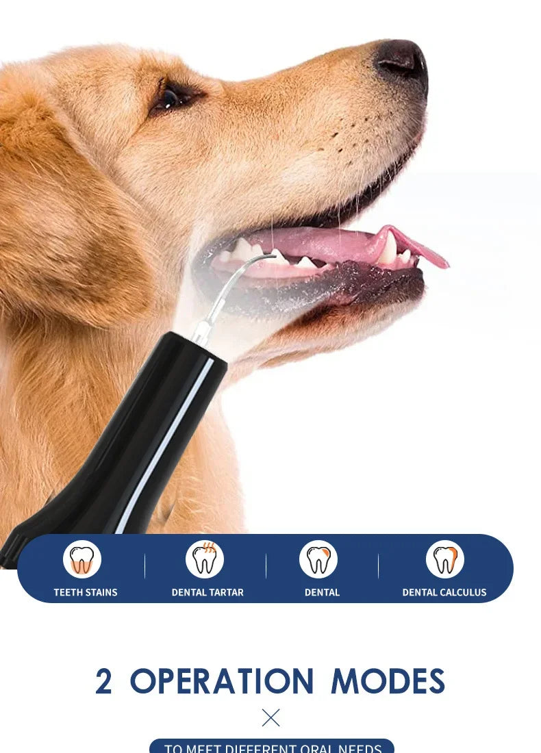 Household Dog Toothbrush