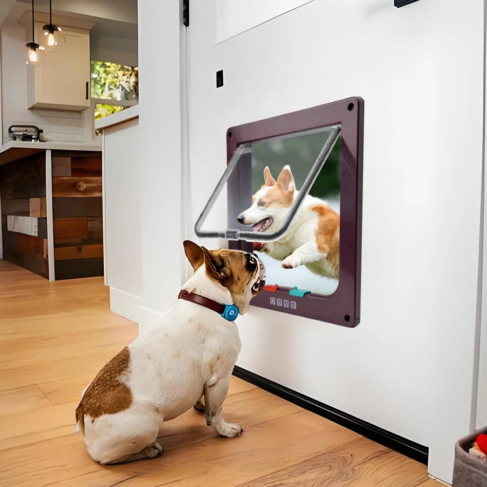 2-Way Pet Door
