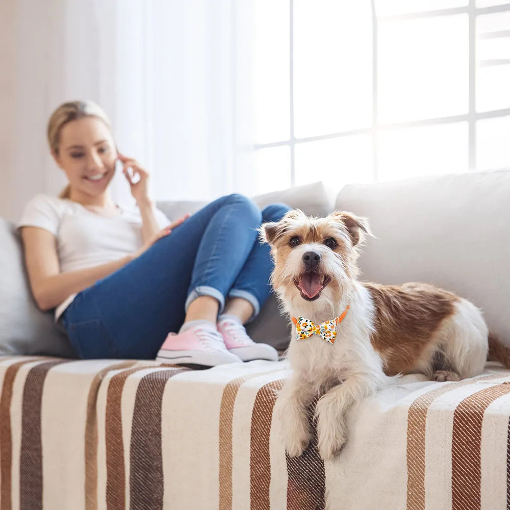 Pet Bowties - 50 pack