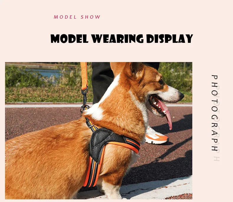 Pet Dog Harness and Leash