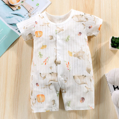 Baby Onesies