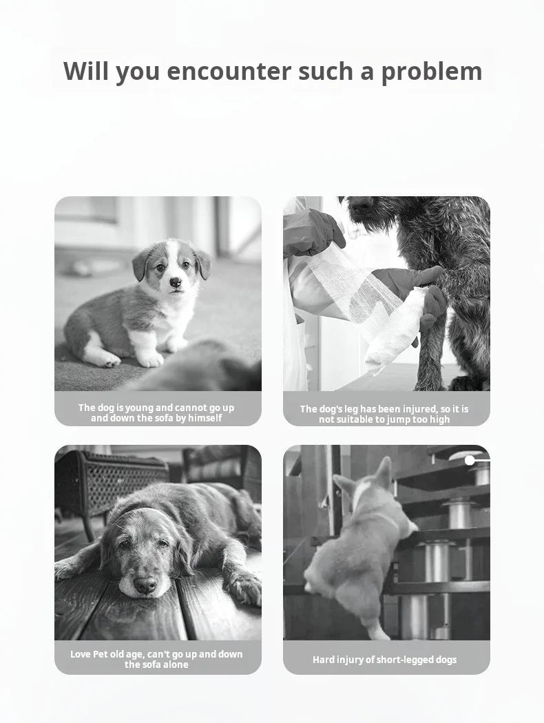 Pet Stairs - 2 and 3 Step
