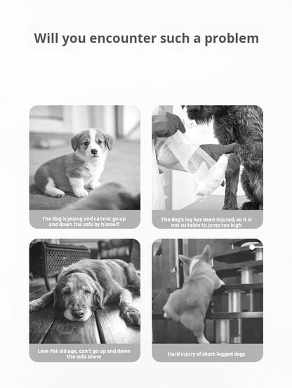 Pet Stairs - 2 and 3 Step