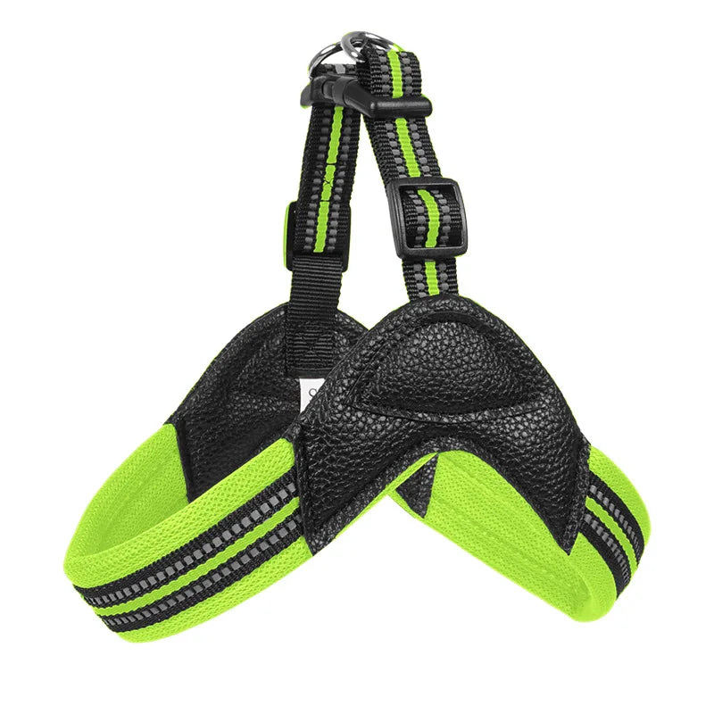 Pet Dog Harness and Leash