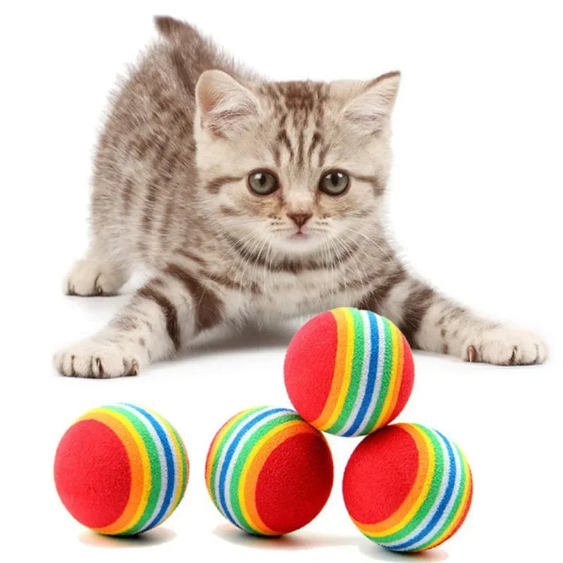 Colorful Pet Toy