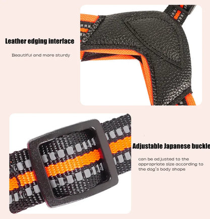 Pet Dog Harness and Leash