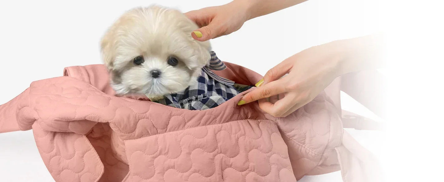 Pet Carrier