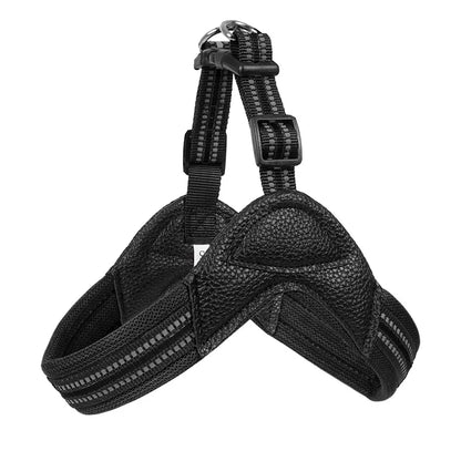 Pet Dog Harness and Leash