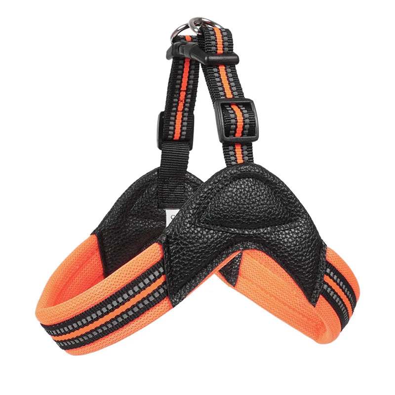 Pet Dog Harness and Leash