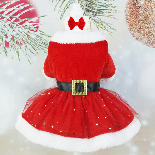 Pet Christmas Costume