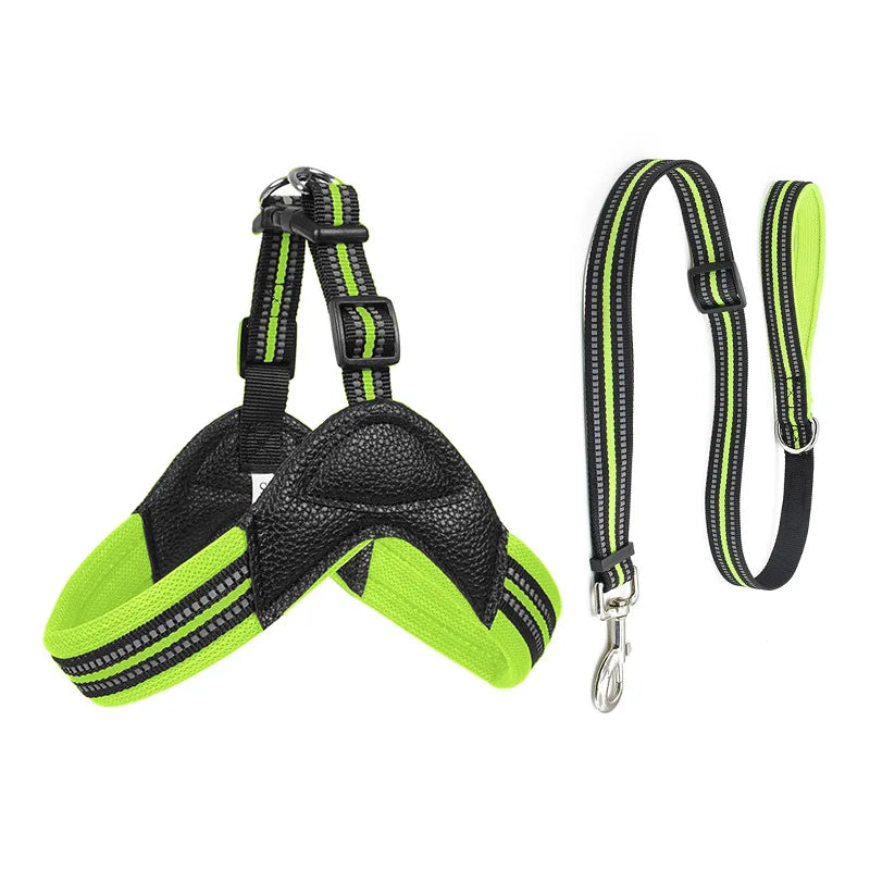 Pet Dog Harness and Leash