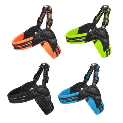 Pet Dog Harness and Leash